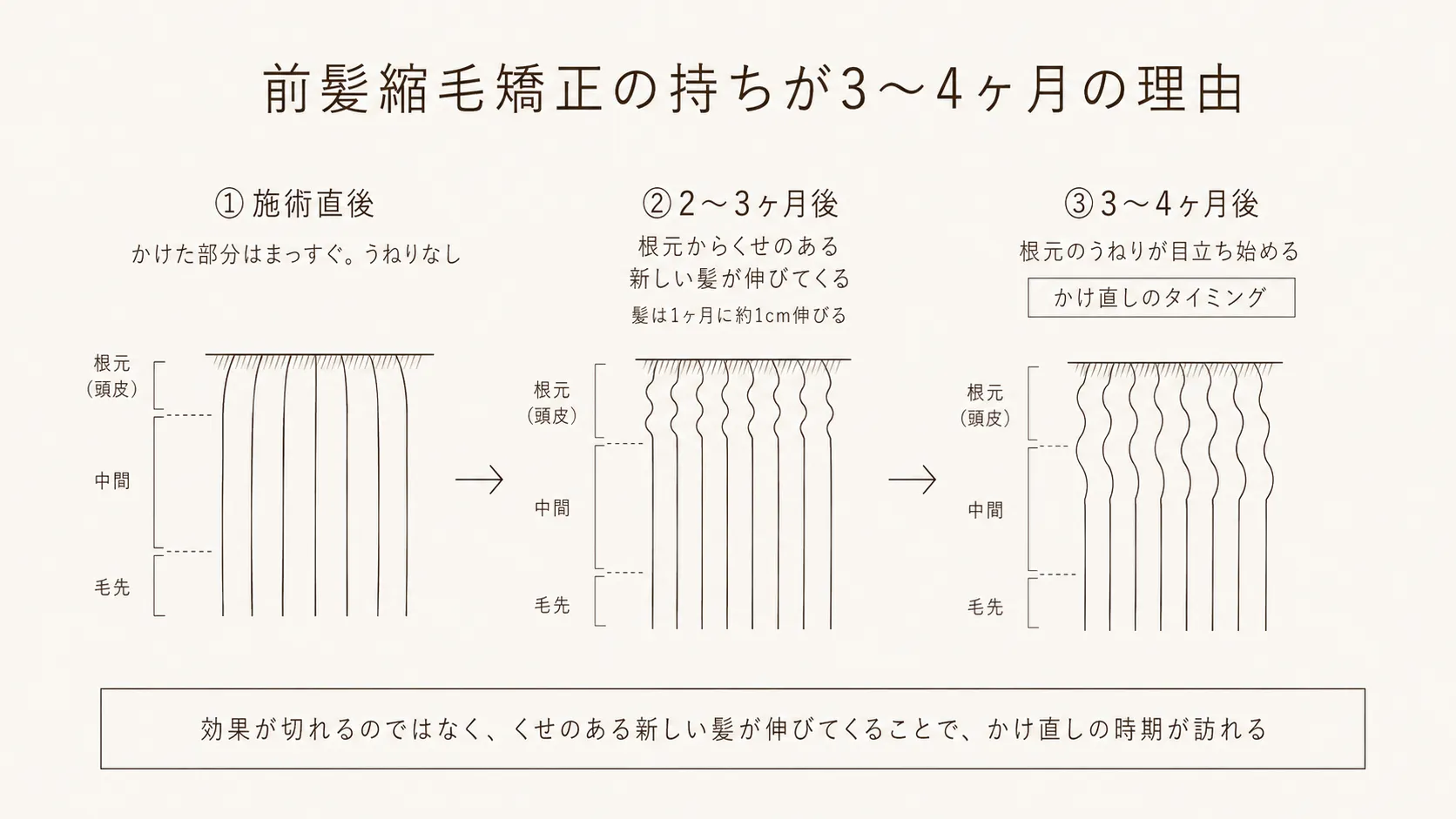 前髪縮毛矯正の持ちが3〜4ヶ月の理由を示した図