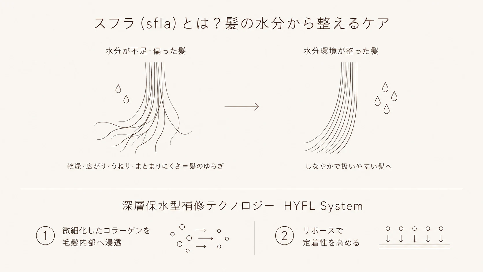 スフラ（sfla）とは 髪の水分環境とHYFL Systemの図